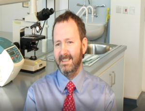 Steve Hickey PhD